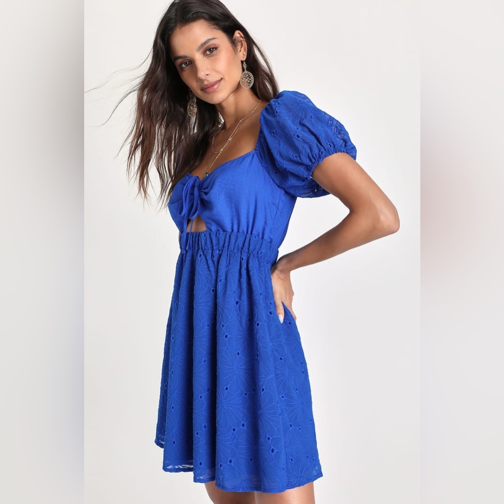 🆕(NWT) LULUs Excuse to Flirt Floral Embroidered Puff Sleeve Mini Sundress. XS